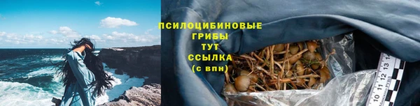 дживик Алзамай