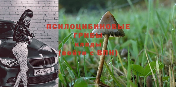 дурь Алексеевка