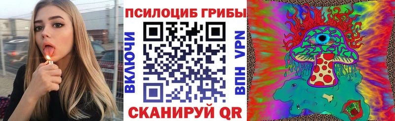 Галлюциногенные грибы прущие грибы  купить наркотик  darknet как зайти  Зверево 